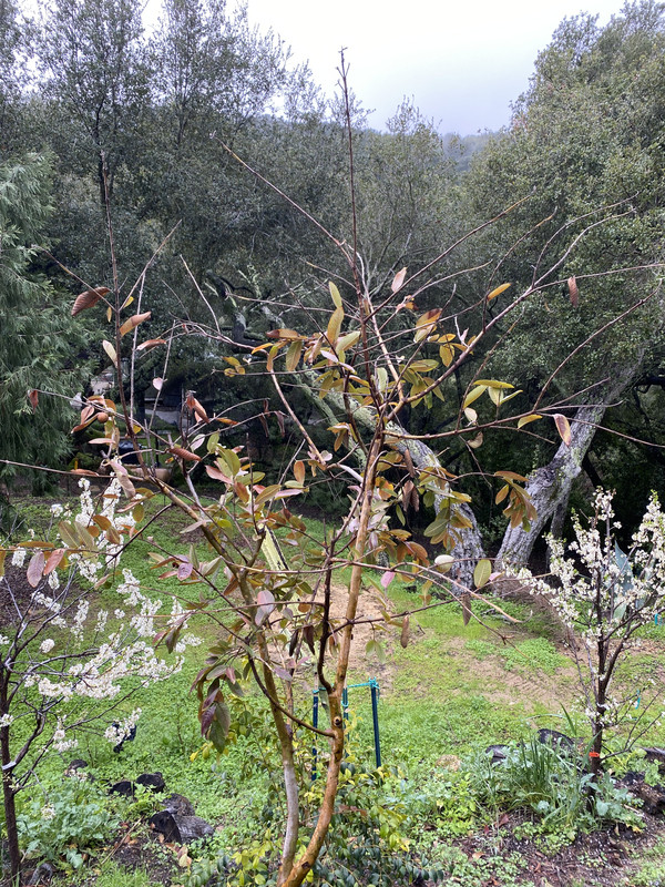 55EF6564-42CB-434A-93E4-59F4B32B1F3A