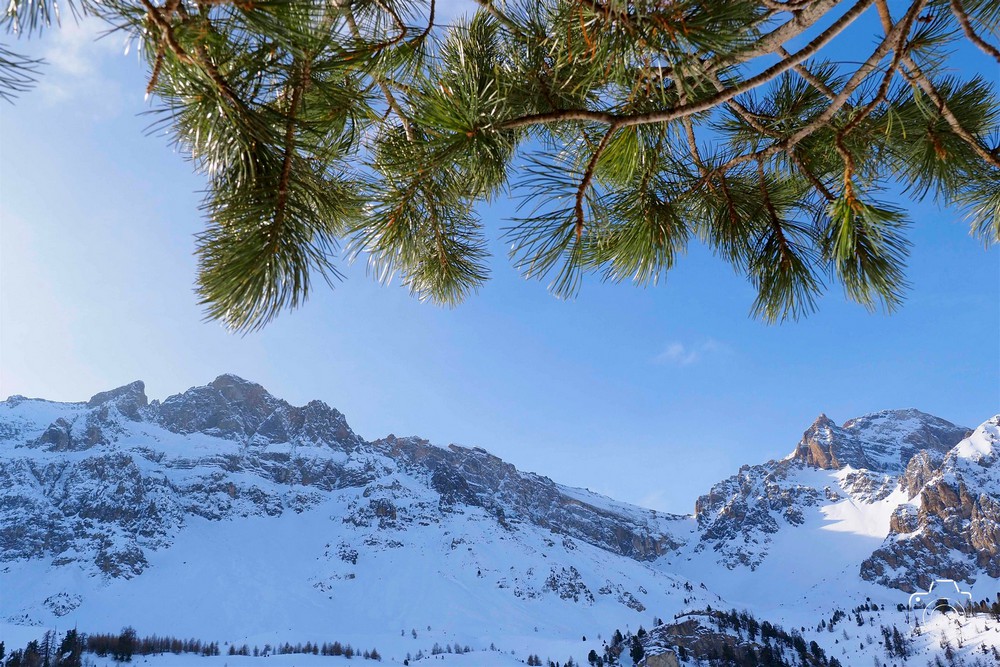 617862461-25480082988281281-4972637992051508246-n