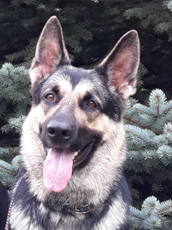 c9tOoLATBerrXUfPihpDJfmXXG7w4fdiqBYgDZJQGytqv8gaGEHOqTP_h4ad13BcF7N_wwL3NLSBYeHaprvtYvxu