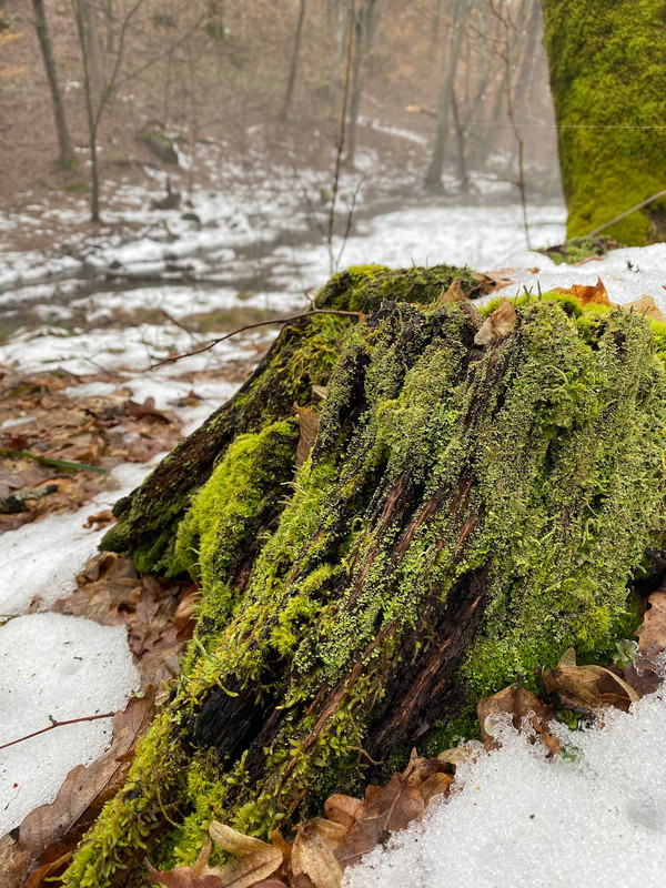 IMG-20230219-WA0006 (1) (1)