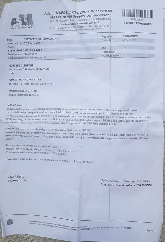 WhatsApp Image 2025-08-14 at 13.46.19