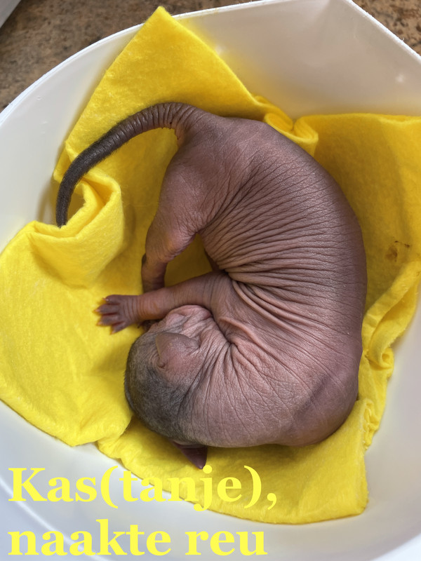 2500CE2E-E181-4B8D-9211-23948D3CB2FD_1_201_a