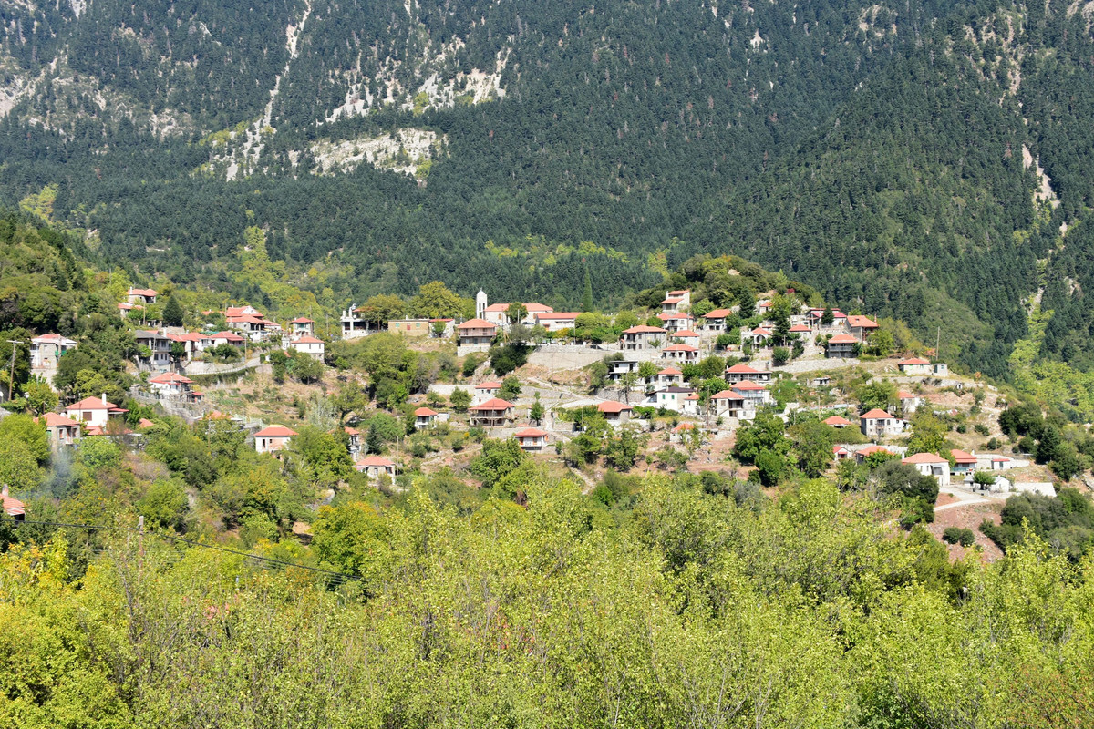 Αμπελακιώτισσα