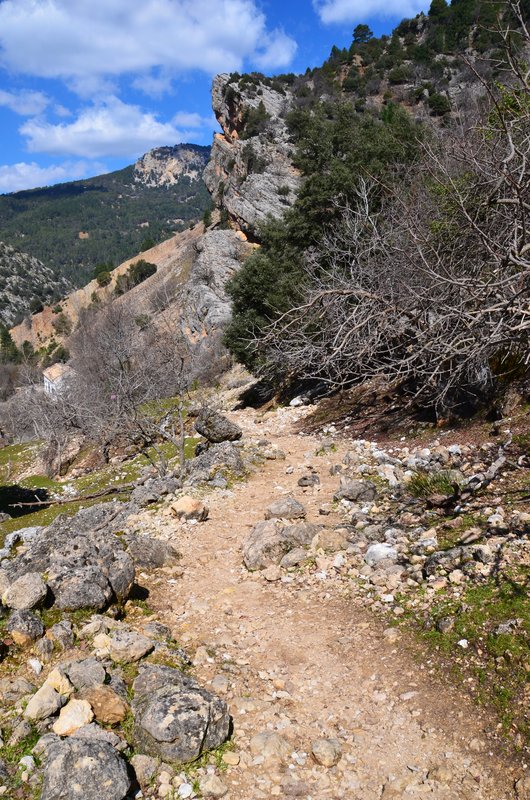 RUTA RIO BOROSA-12-3-2016-JAEN - Paseando por España-1991/2016 (82)