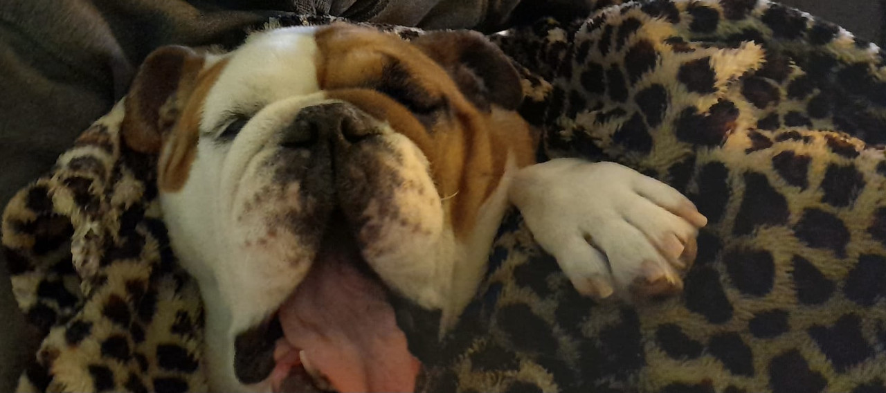 F4FC2FB9-1F8D-4EA6-A5C4-75B946F159EC