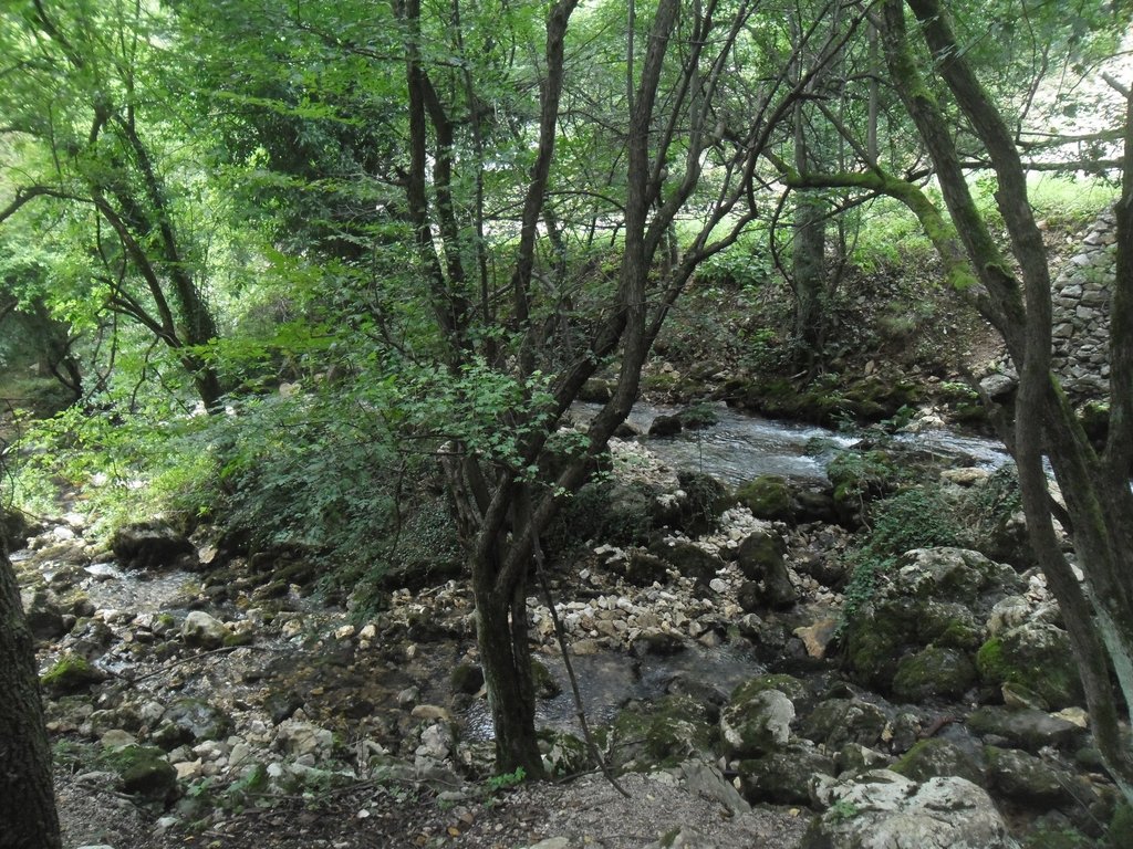 Slika