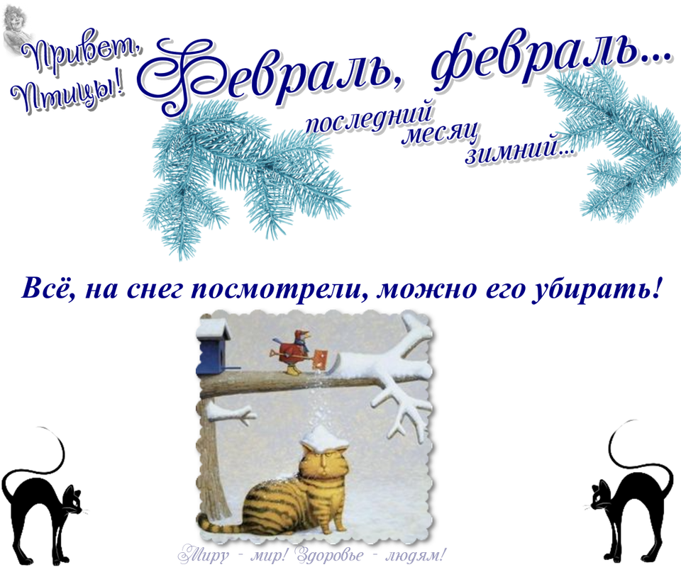 https://i.postimg.cc/TYcZ52MC/01-02.png