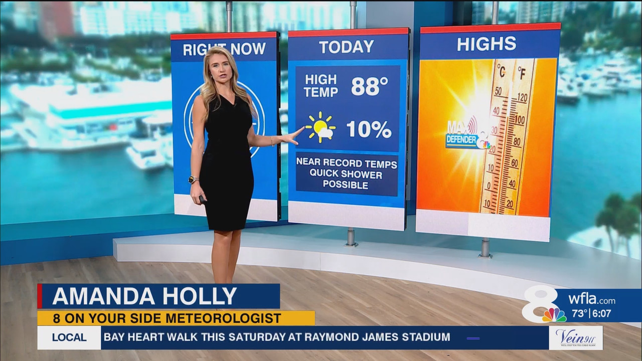 NewsChannel 8 Today at 6a_20241112_11001200.ts_snapshot_08.39.586