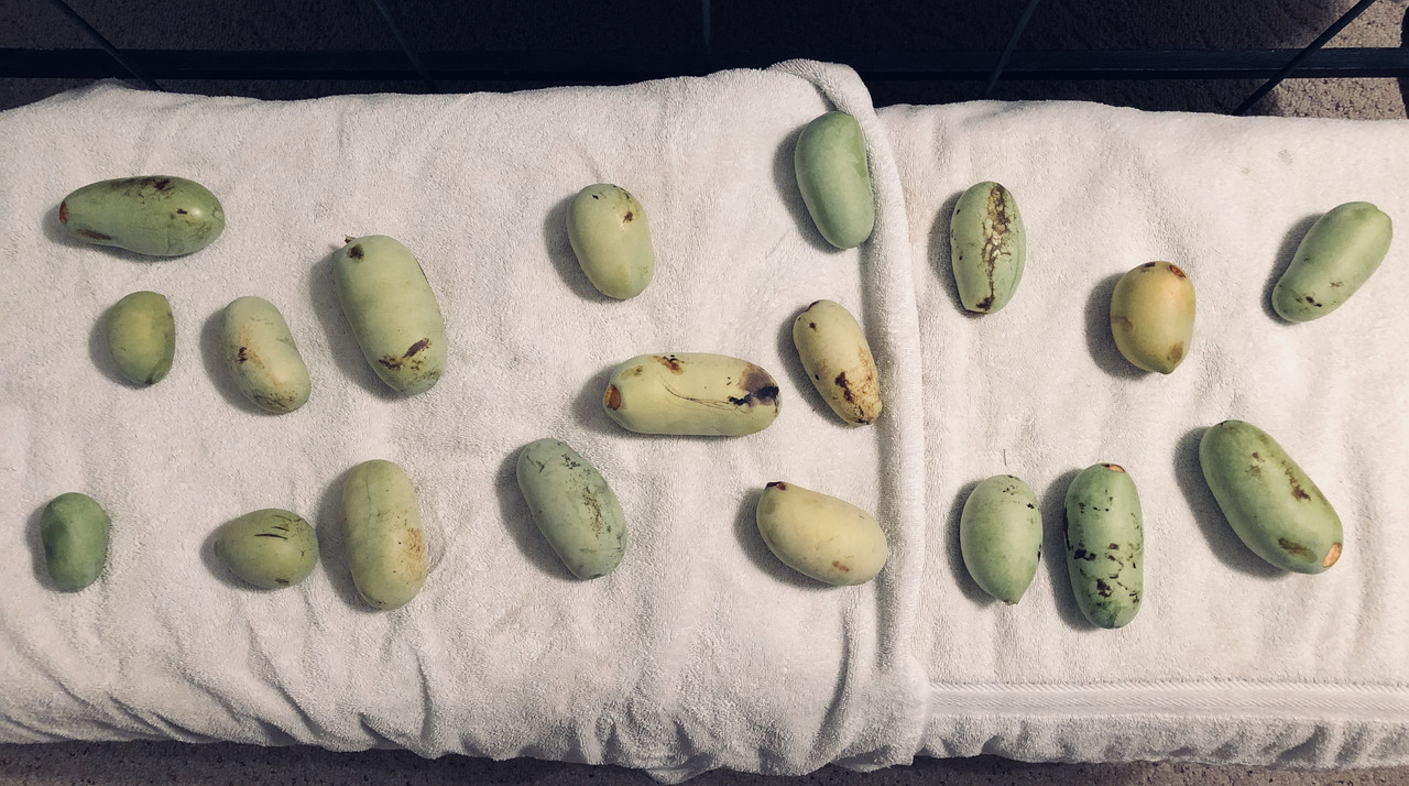 40F721F2-82C3-4C51-87C3-BDDBAF7EDBFB