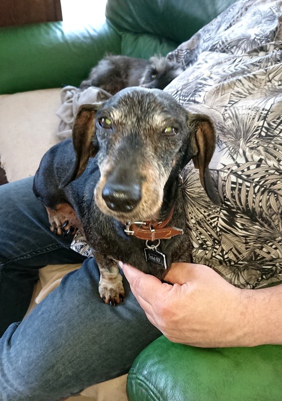 [Image: 20240422-135235.jpg]