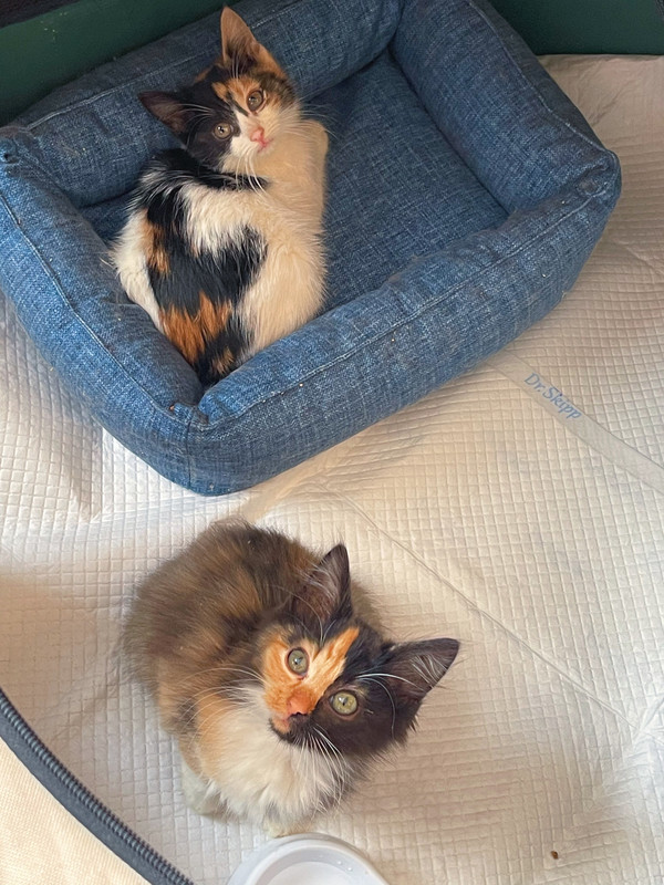 1D56B080-6C1F-408A-98D7-A27DB854C851