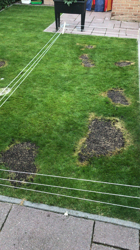 B0A1D6B4-4139-42B1-8D1B-BCF4138BB7FE