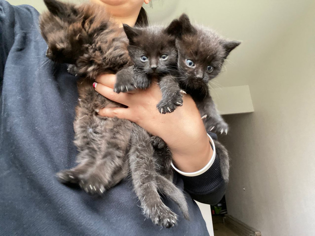 5939BBFA-2D8E-434C-93C0-03276AB0E7E6