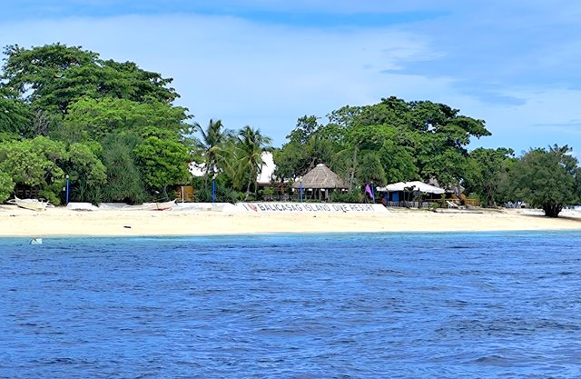 --DÍA 12 (22 junio):  Bohol (Balicasag) - Un mes por Filipinas y Tailandia con niñas (2025) (2)