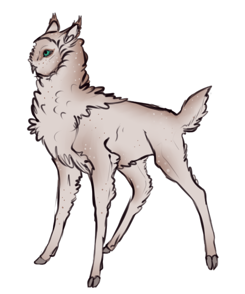 fluff