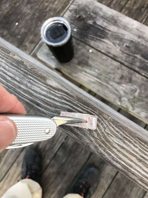 Victorinox-ALOX-Electrician-Fish-Bite.jpg