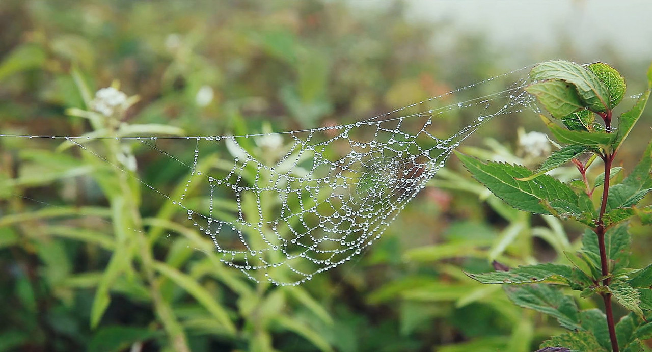 [HR] 心に吹く風 (2017) The Wind in Your Heart [BluRay 1080p x265]_07