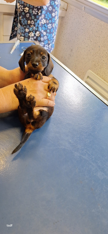 [Image: 20250606-180825.jpg]