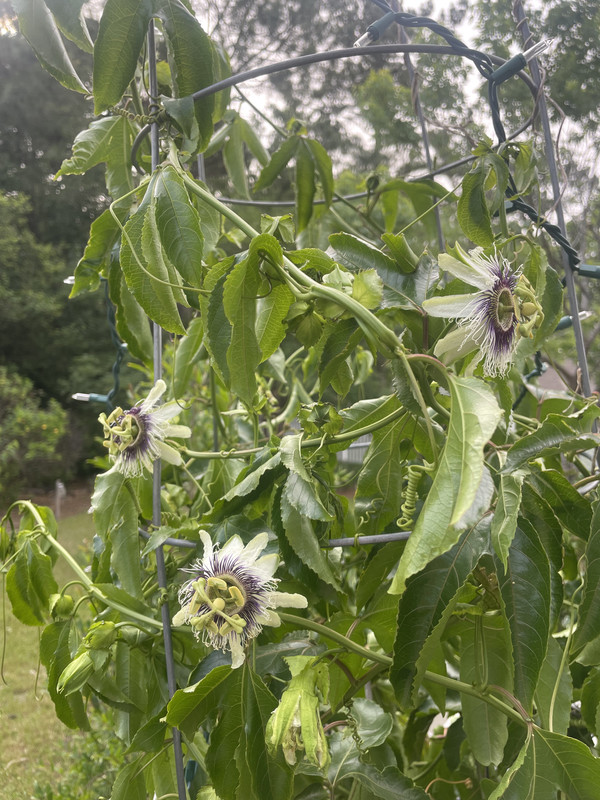 CF15806F-3231-4E0D-A461-3CAA244724F9