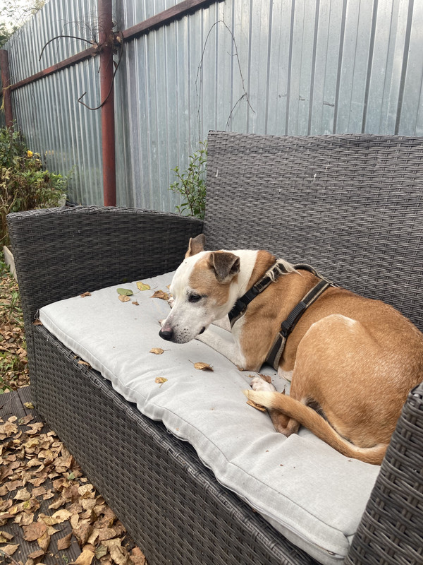 69FC66F9-BC8A-4ACD-8DF6-5F6CD4ABC3EB