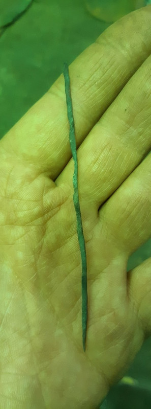 niUXib6WP8acvze-1mcju8i4tkm3KpgD9_obRZ7rkBrQ_L8Lmnva7hnQJ6rtOJJHCLvgA4zXaCi77WDH_QAGuQNl