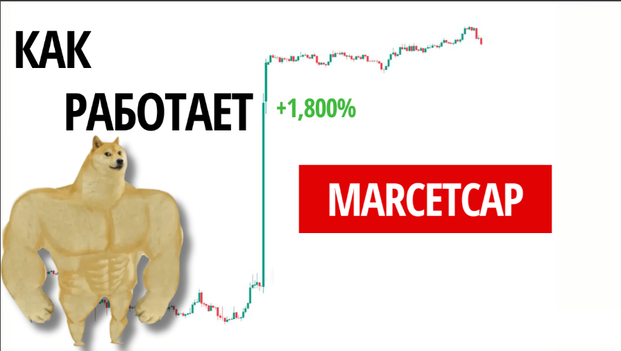 guide Загадка сезона альткойнов раскрыта: взлететь можно и без миллиардов USD