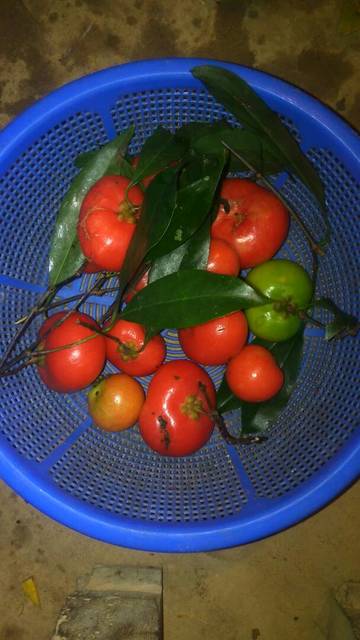 IMG-20170421-WA0036