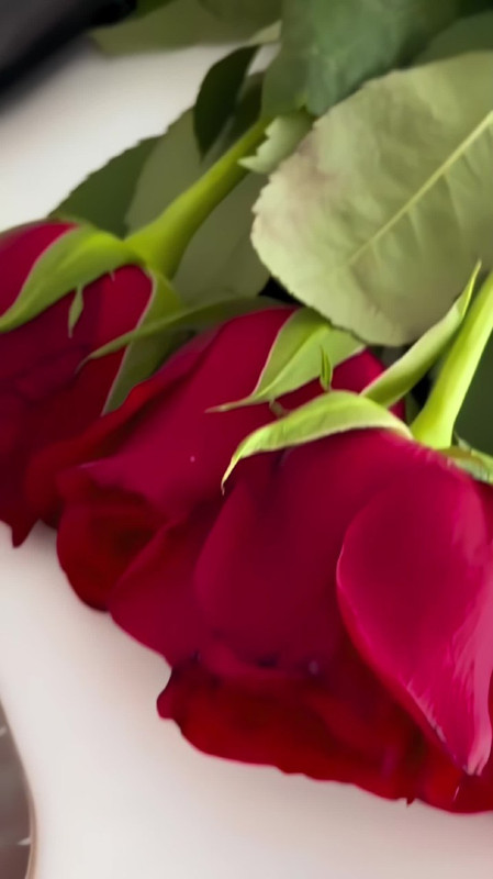 IMG_20250302_195423_963