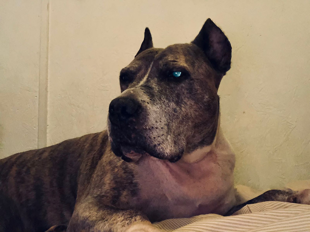 798AB14B-ECDE-460D-9160-4284577E8466