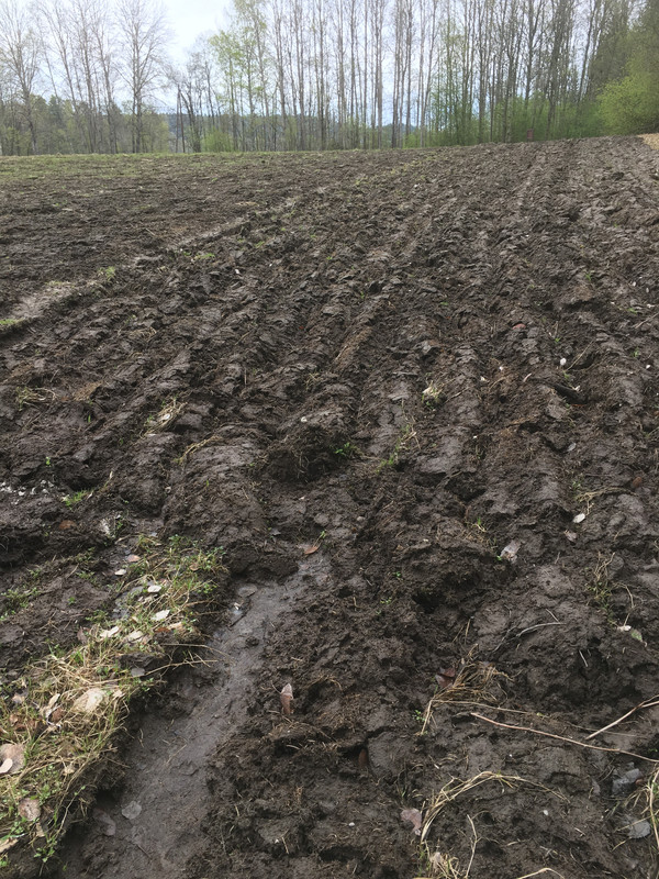 F703DC2A-35D1-4B26-8C0E-BE4644572756