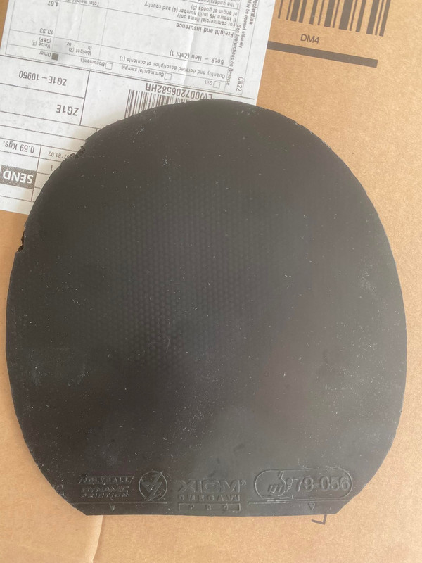 273685471_343412080997830_1911867396979040599_n