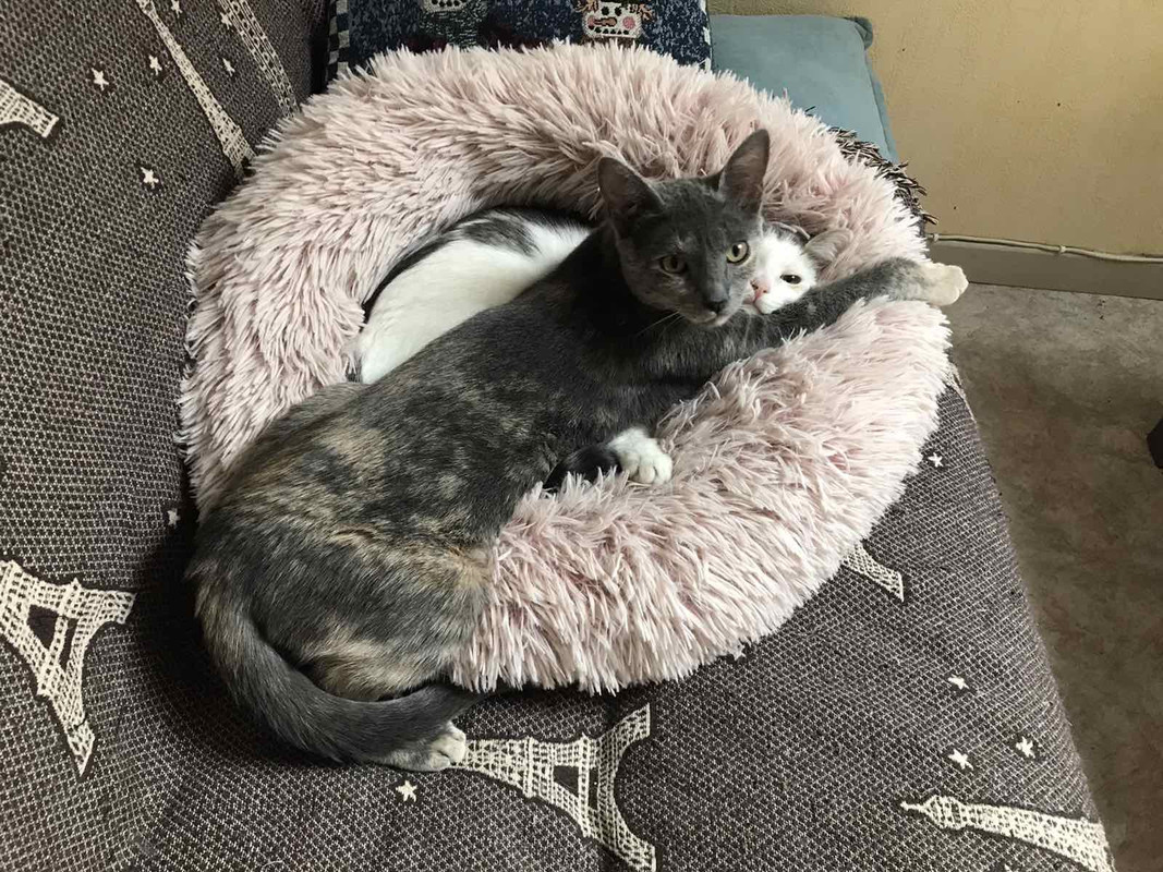 97B567FE-659B-4A37-BC52-6B8D0B70B77C