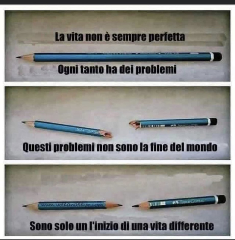 2000534f-5dd7-4a02-a942-b30a5156dece