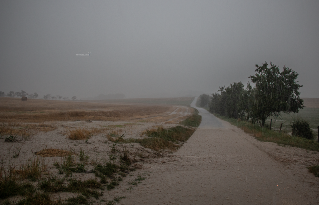 02082024-IMG-0722.png