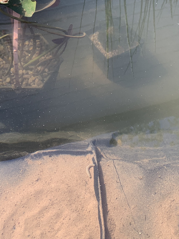 A664AE98-C2DB-4E37-A1BC-3E94D02546D4