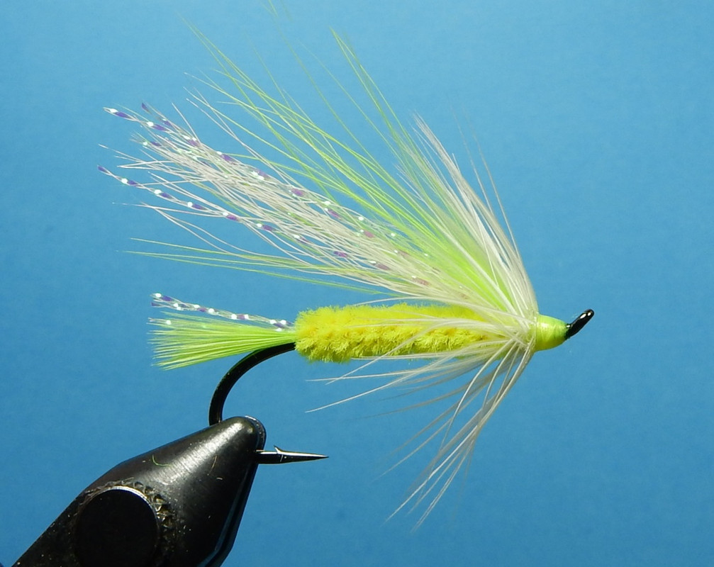 Salmon_River_Seducer_1080.jpg