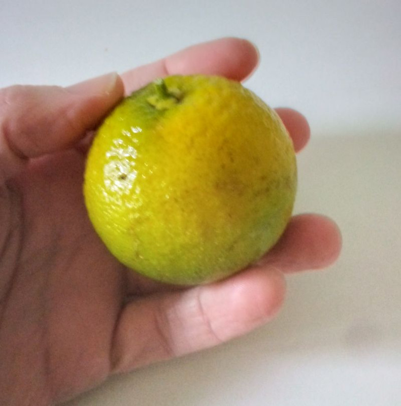 orange-s.jpg