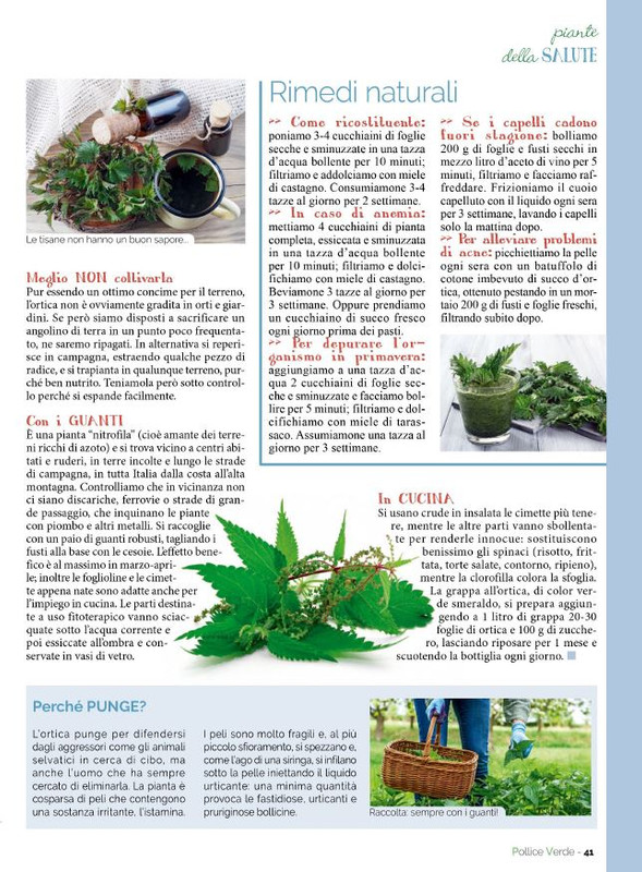 Pol Ver Mar 2023 (6)