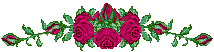 red 44