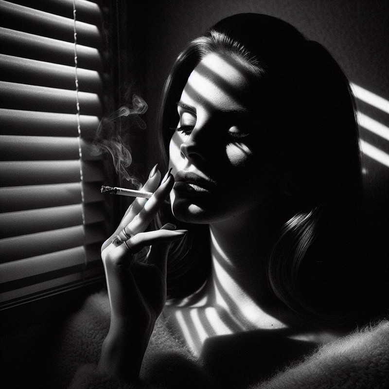 film noir roller blinds (3)