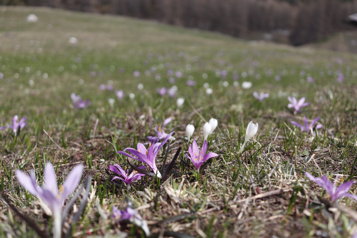 38B70CBB-941C-4BC9-A736-7942AB79B2CE