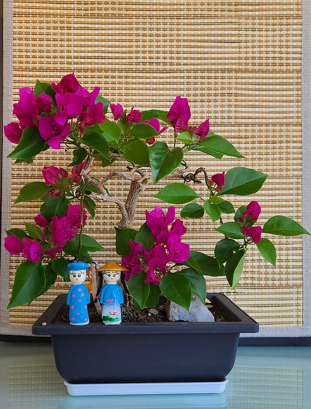 [Image: 20230703-145120.png]