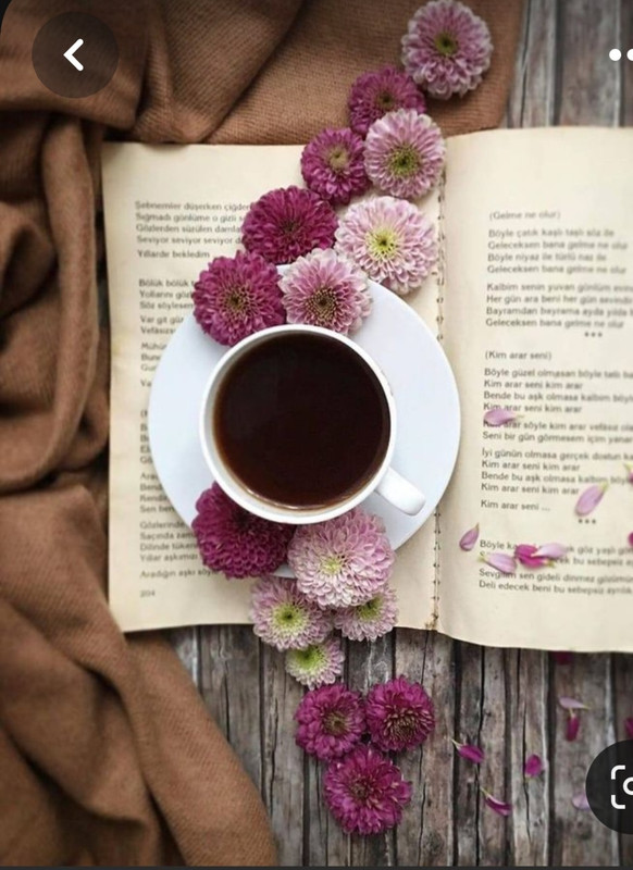 Screenshot_20230322_230220_Pinterest