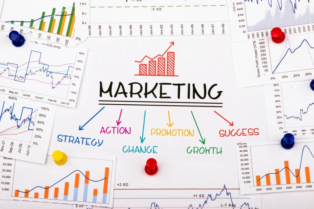 Marketing Support (Domestic & International)