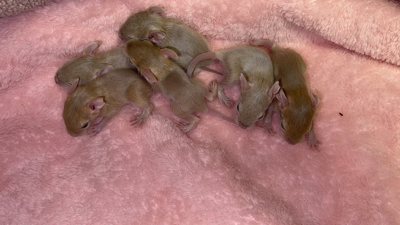 0D4683C3-D9A0-4B7B-9065-56C9925E26E3