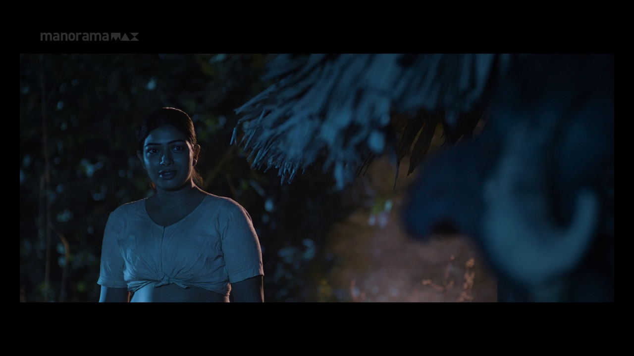 vlcsnap 2026 02 02 13h49m21s770