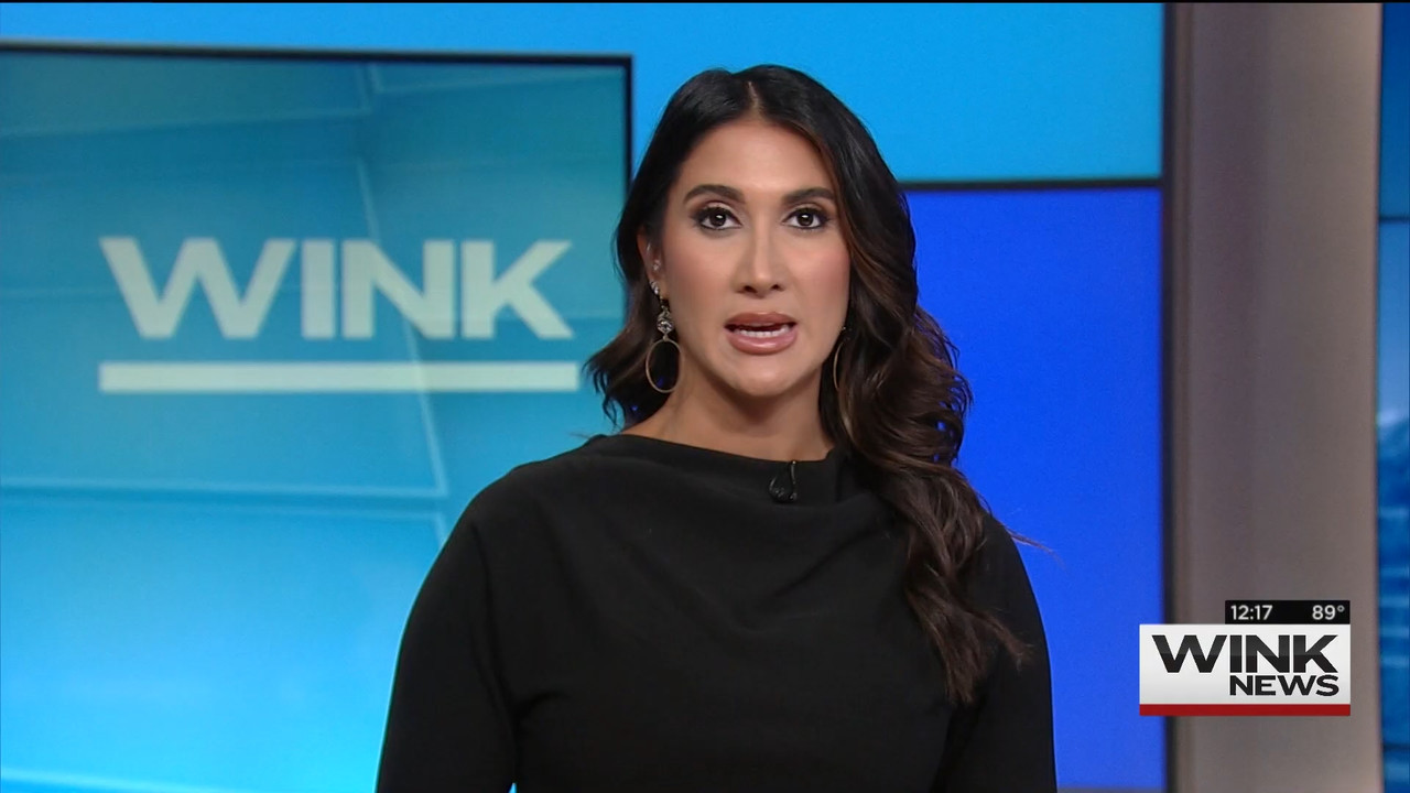 09.04 - 17.00.00 - The WINK Noon News. News..ts_snapshot_23.52.701