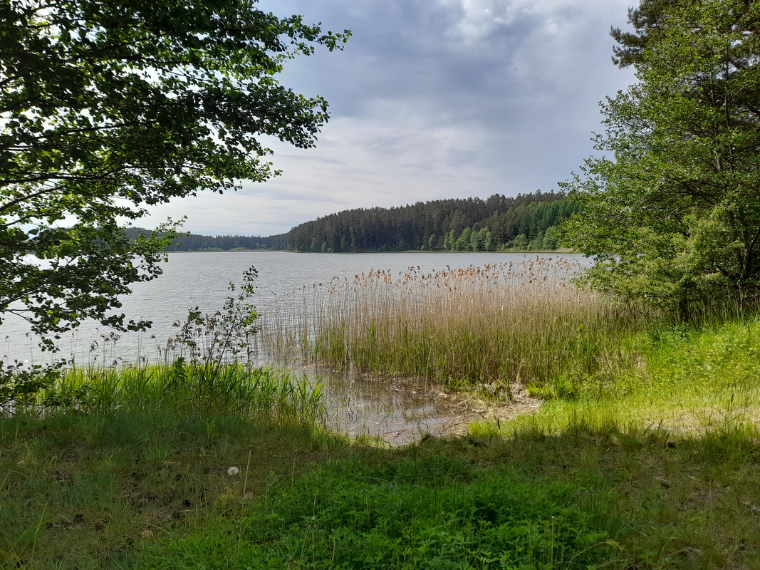 03.19 - 20210601_105523 (Aldona)