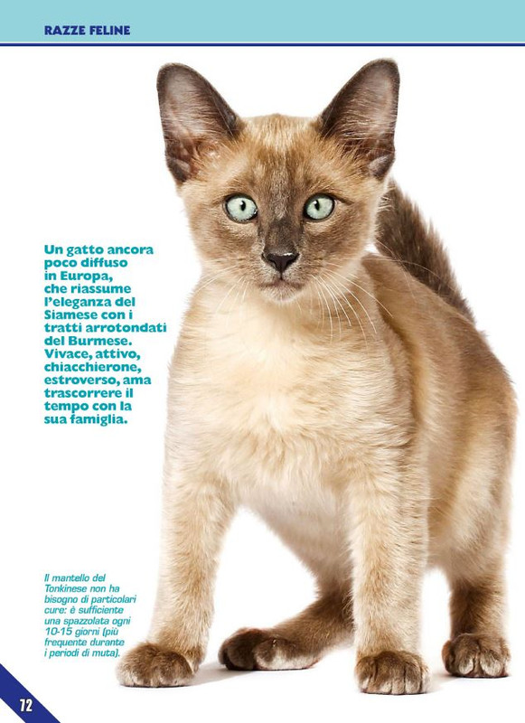 Foc Wil - Lug 2024 (7)