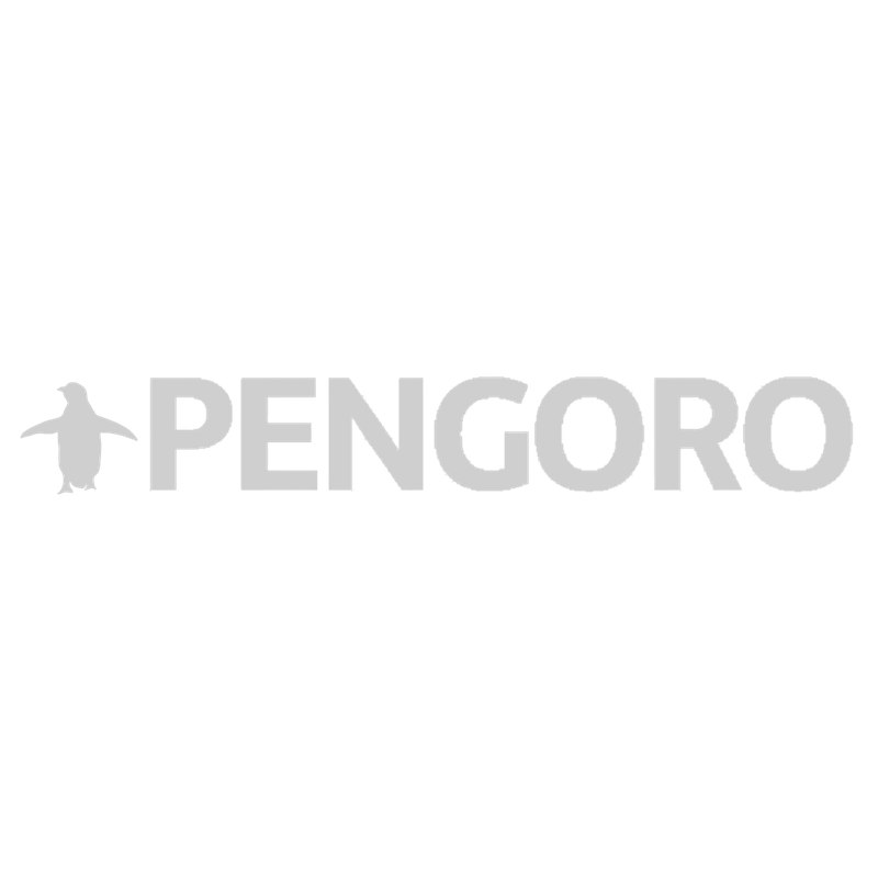 Company Logo 2